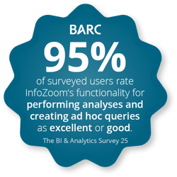 Infozoom-BIA-Survey-25-additional-insights-analysis