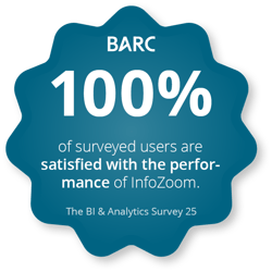 Infozoom-BIA-Survey-25-additional-insights-performance-satisfaction