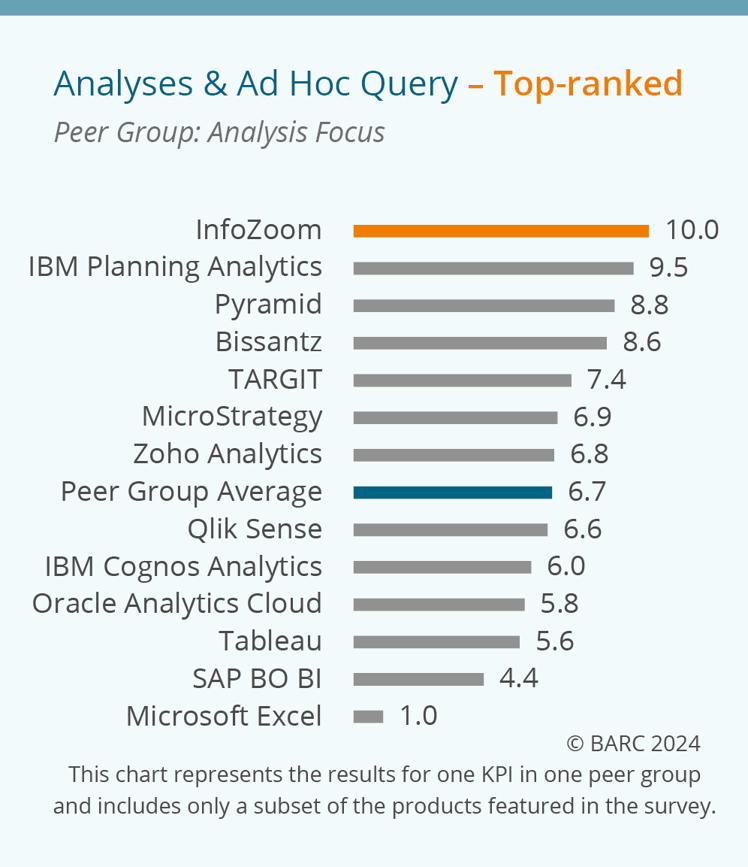 Top rankings for InfoZoom in the BARC BI & Analytics Survey 25