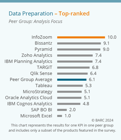 Infozoom-BIA-Survey-25-top-ranked-data-preparation-analysis-focus