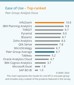 Infozoom-BIA-Survey-25-top-ranked-ease-of-use-analysis-focus