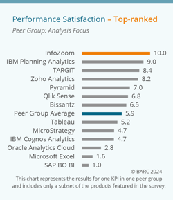 Infozoom-BIA-Survey-25-top-ranked-performance-analysis-focus