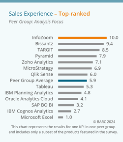 Infozoom-BIA-Survey-25-top-ranked-sales-experience-analysis-focus